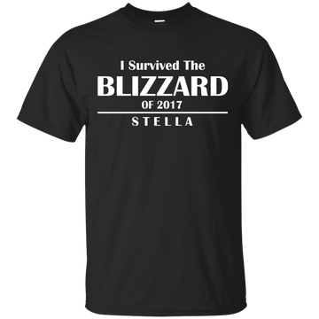 I Survived The Blizzard of 2017 Shirt, Hoodie, Tank