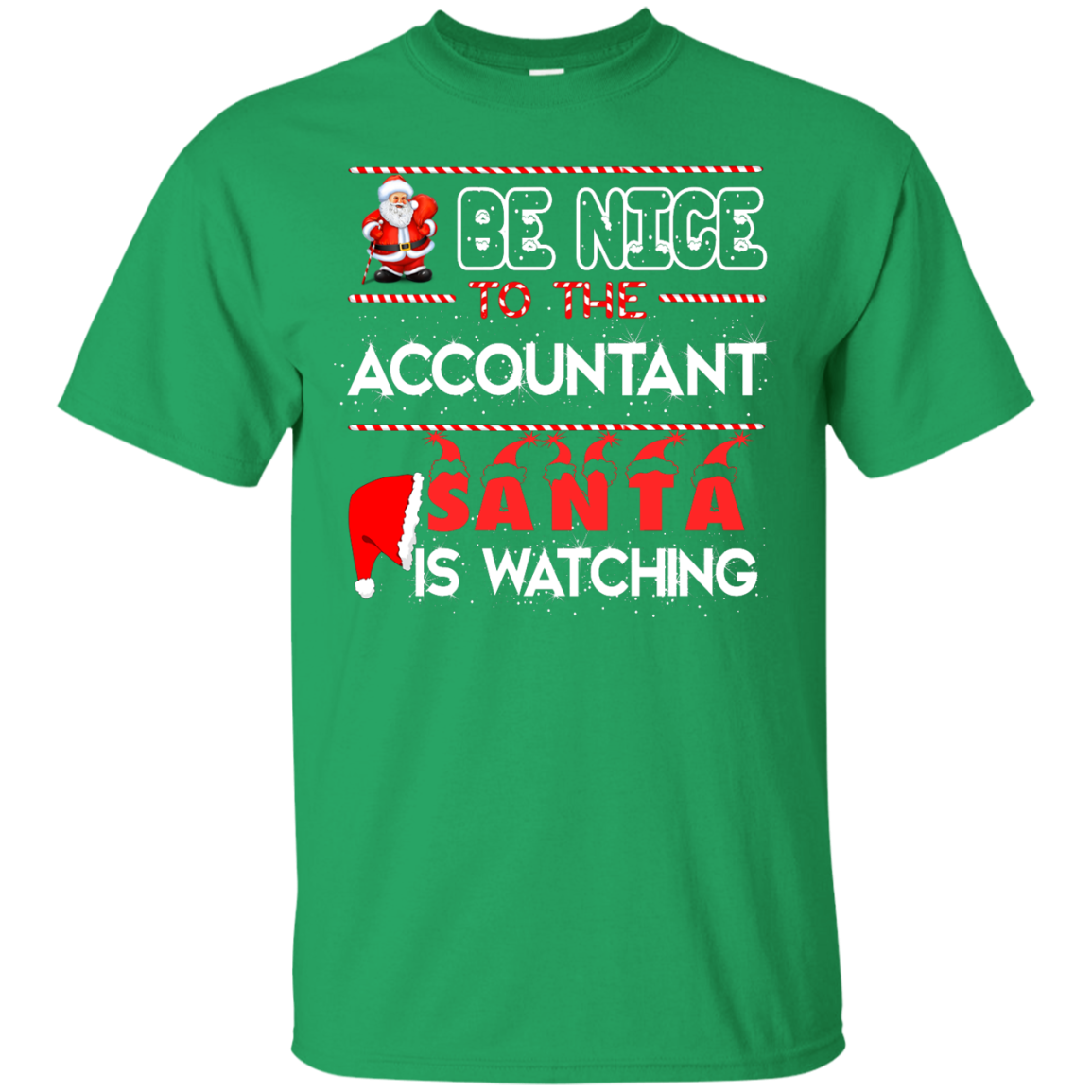 Be Nice To The Accountant Shirt, Hoodie, Tank - ifrogtees
