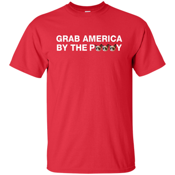 Funny Grab America by the Pussy Shirt, Hoodie, Tank - ifrogtees